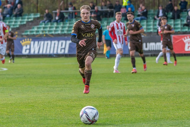 這對薩勒尼 這對薩勒尼